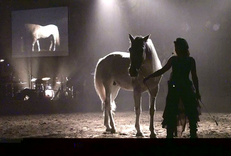 caballera.jpg
