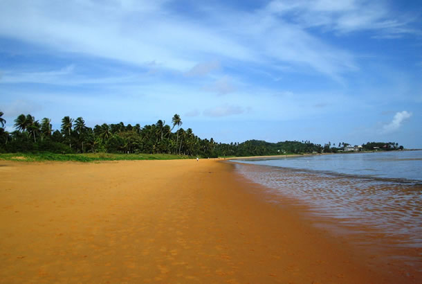 guyane1.jpg